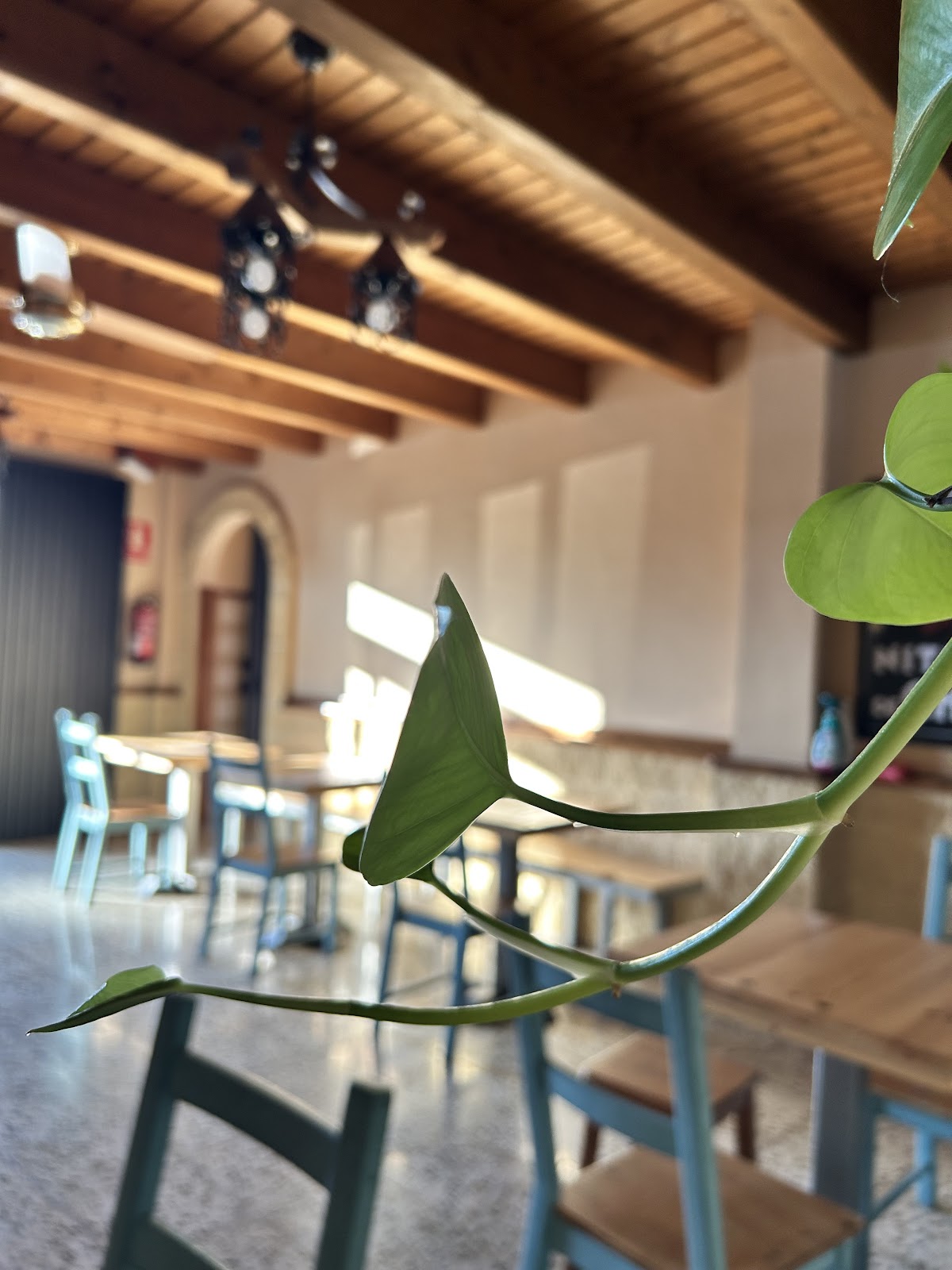 Bodegón El Esperancero